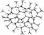 Cells Cells