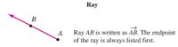 ray.jpg