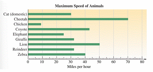 Maximum Speed of Animals
