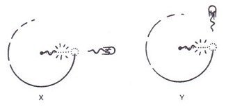 object_moving_in_circle.jpg