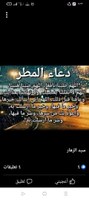 محمد مصطفى محمد مصطفى