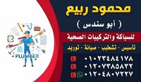 محمود ربيع