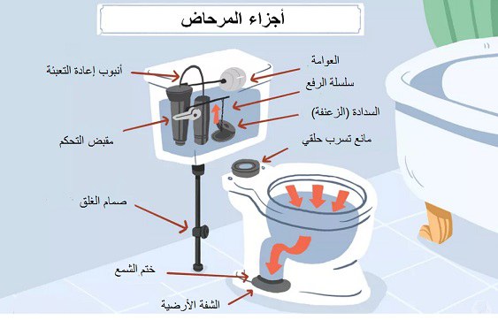 the-parts-of-a-toilet.jpg