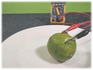 تجربة علمية للأطفال: بطارية من ثمرة الليمون تجربة علمية للأطفال: بطارية من ثمرة الليمون