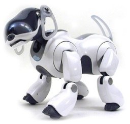 AIBO